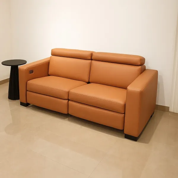 Premium Recliner Sofa with Upholstery (DS40)