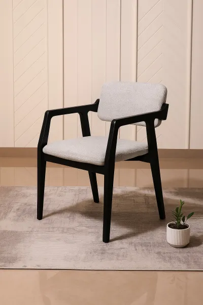 Modern Curved Ash Wood Dining Chair with Upholstery (DDC08)