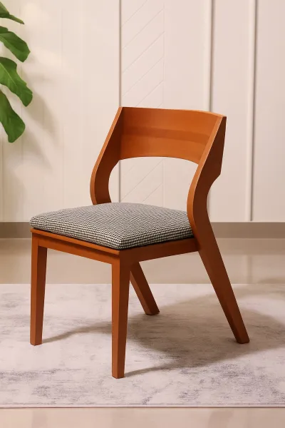 Modern Curved Ash Wood Dining Chair with Upholstery (DDC16)