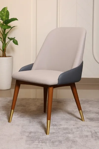 Modern Curved Ash Wood Dining Chair with Upholstery (DDC24)
