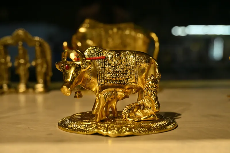 Dhyana - Furniture and More